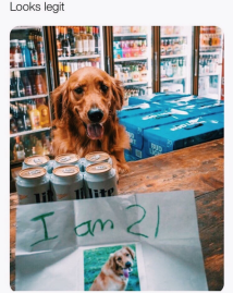 Screen Shot 2018-06-23 at 2.20.45 PM